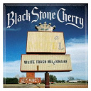 Black Stone Cherry - White trash millionaire