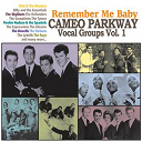 Billy / Lee Andrews / Pookie Hudson / Rick / The Anglos / The Dovells / The Essentials / The Exceptions / The Expressions / The Gainors / The Gleems Aka The Jaynells / The Impacs / The Lydells / The Masters / The Rays / The Roomates / The Sequins / The Skyliners / The Spaniels / The Turbans / The Tymes - Remember me baby: cameo parkway vocal groups vol. 1
