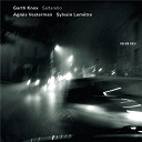 Agn&egrave;s Vesterman / Antonio Vivaldi / Donogh Patrick Hennessy / Garth Knox / Guillaume De Machaut / Henry Purcell / Hildegard Von Bingen / John Dowland / Johnny Cunningham / Kaija Saariaho / Sharon Shannon / Sylvain Lem&ecirc;tre / Traditional / Trevor Hutchinson / Winifred Horan - Saltarello