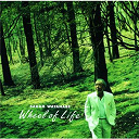 Sadao Watanabe - Wheel of life