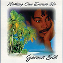 Silk Garnett - Nothing Can Divide Us