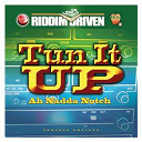 Al Campbell / Brent Dowe / Don Yute / Glen Washington / Heavybeat Crew / Honorebel / Jimmy Riley / John Junior / Kashief Lindo / Mical Rustle / Nikesha / Ratigan / Tun It Up Ah Nadda Notch / Willie Lindo - Riddim driven: tun it up ah nadda notch