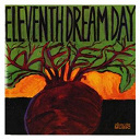 Eleventh Dream Day - Beet