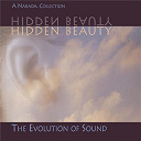 Compilation - Hidden Beauty