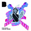 Benny Benassi - I am not drunk