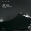 Christian Wallumrod / Ingar Zach / Ivar Grydeland / Xavier Charles - dans les arbres