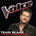 Dia Frampton / Elenowen / Jared Blake / Patrick Thomas / Sara Oromchi / Serabee / Tyler Robinson / Xenia - Team blake ? the blind auditions