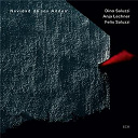 Anja Lechner / Dino Saluzzi / F&eacute;lix Saluzzi - Navidad de los andes