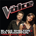 Blake Shelton / Dia Frampton - I won't back down
