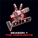 Beverly Mcclellan / Casey Weston / Dia Frampton / Frenchie Davis / Javier Colon / Nakia / Rebecca Loebe / Vicci Martinez / Xenia - The voice:  season 1 highlights