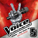 Al.hy / Amalya / Atef / Aude Henneville / Dominique Magloire / Louis Delort / Rubby / Stephan Rizon - The voice : la plus belle voix - prime du 5 mai