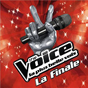 Al.hy / Aude Henneville / Louis Delort / Stephan Rizon - The voice : la plus belle voix - la finale