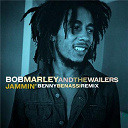 Bob Marley & The Wailers - Jammin'