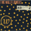 The Wallflowers - Bringing down the horse