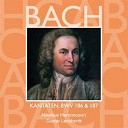 Gustav Leonhardt / Nikolaus Harnoncourt - Bach, js : sacred cantatas bwv nos 186 & 187
