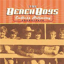 The Beach Boys - Endless harmony soundtrack