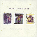 Tears For Fears - saturnine martial and lunatic