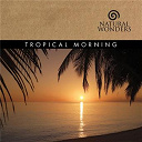 David Arkenstone - Tropical morning