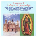 Canciones A La Virgen De Guadalupe / Cuarteto Arm&oacute;nico / Dueto Azteca / Lola Beltran / Los Broncos De Reynosa / Los Duendes / Los Pastores / Martin Y Malenna / Pedro Infante / Trio Hermanos Michel - Canciones a la virgen de guadalupe (14 tracks)