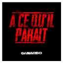 Canardo - A ce qu'il para&icirc;t