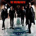The Wildhearts - Endless, nameless