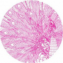 Alex James Vs Alif Tree / Daniel Dreier / Lee Jones / Mark Henning / Matthias Meyer / Patrice Baeumel - Peacock ep