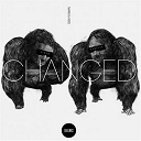Patrice & Mario / Vidis - Changed album sampler