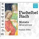 Johann Christoph Bach / Johann Michael Bach / Johann Pachelbel - Motets (motetten)