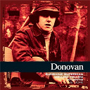 Donovan - collections