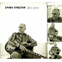 Larry Carlton - Fire wire
