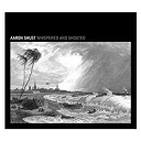 Aaron Shust - Whispered and shouted