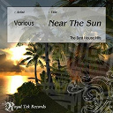 Alle Dj / Deepcentral / G M J / Global Optics / House X Treme / Invisible Friends / Paul Force / Plez 69 / Roderick Santh - Near the sun