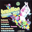 A.flora / Brasilian Band / G.carlos / Gusto Sabroso / Lambada Band / Latin Band / Latino Band / Lobo Band / Memina Band / Pata Pata Boys / Rio Band / Rio Brasil / Samba Band / Sambateria Band - Brasilian tribal hits vol. 2 cover version