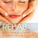 351 Lake Shore Drive / De Madrugada / Donimuze / Eddie Silverton / Esteban Garcia Junior / Ingo Herrmann / Jeela / Mind Into Mind / Nardis / Night & Day / One Man Ahead Ft. Niki Saletta / Soulchillaz - Rehab for lounge lovers  lunatic asylum vol.1
