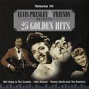 Bill Haley / Carl Perkins / Clyde Mcphatter / Dinah Washington / Elvis Presley "The King" / Etta James / Fats Domino / Friends / Gene Vincent / Johnny Cash / Little Richard / Louis Jordan / Pat Boone / Perry Como / Teresa Brewer / The Blue Caps / The Comets / The Crew Cuts / The Drifters / The Five Keys / The Mcguiresisters / The Platters - 25 golden hits  (volume 10)