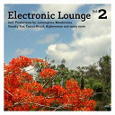 Acoustique Parfum / Alphawezen / Andreatea / Calmstreet / Eigenart / Geb.el / Lemongrass / Moodorama / Nor Elle / Ohm Square / Out Of The Drum / Romanto / Sneaky Fox / The Casino Royal / The Lushlife Project / Timo Camillo - Electronic lounge vol. 2