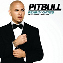 Pitbull - Pearly gates