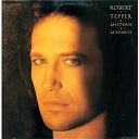 Robert Tepper - Modern madness