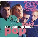 The Darling Buds - Pop said...