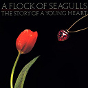 A Flock Of Seagulls - The story of a young heart