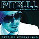 Pitbull - Give me everything