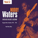 Muddy Waters - Hard day blues, vol. 2