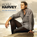 Adam Harvey - Falling into place