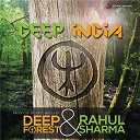 Deep Forest / Rahul Sharma - Deep india