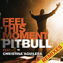 Pitbull - Feel this moment remixes