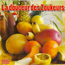 Christian Nara / David Denin / Elza Brouta / Jane Fostin / Kurtis / Marielle / Paola / Sandra Jean Charles / Teddy Ousselin - La douceur des zoukeurs