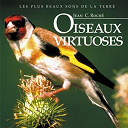 Jean C Roche - Oiseaux virtuoses