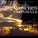 Jean C Roche / Pierre Palengat - Concerts du cr&eacute;puscule