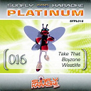 Boyzone / Sunfly Karaoke / Take That / Westlife - Platinum 16 take that, boyzone & westlife