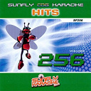 Avril Lavigne / Calvin Harris / Css / Good Charlotte / Hellogoodbye / Kaiser Chiefs / Kelly Clarkson / Nelly Furtado / Rihanna / The Fray / The Pigeon Detectives / The Scissor Sisters / The Twang / The White Stripes / Unklejam - Sunfly hits: vol. 256